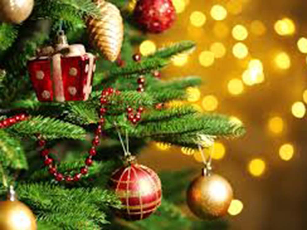 Christmas Package at The Mansion Lions Hotel - Lions Group Hotels Eastbourne and East Sussex