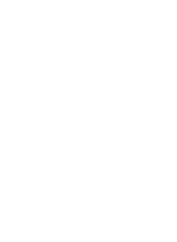 Lion Hotels Logo